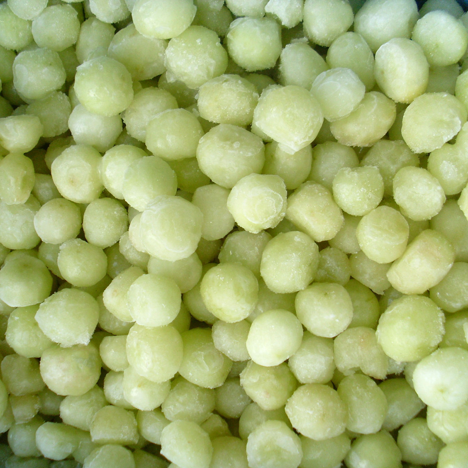 Health Benefits of Fresh Vegetables: Nutrients and Fiber