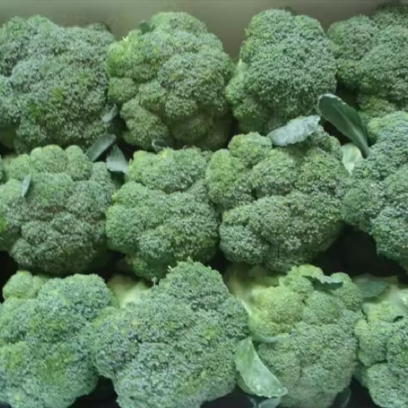 동결된 키위 슬라이스는 게임 체인저입니다!