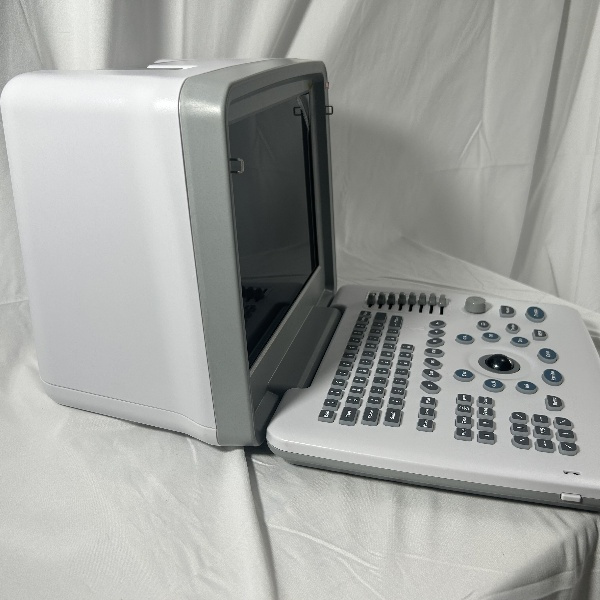 Exploring Ultrasound's Role in Non-Invasive Procedures