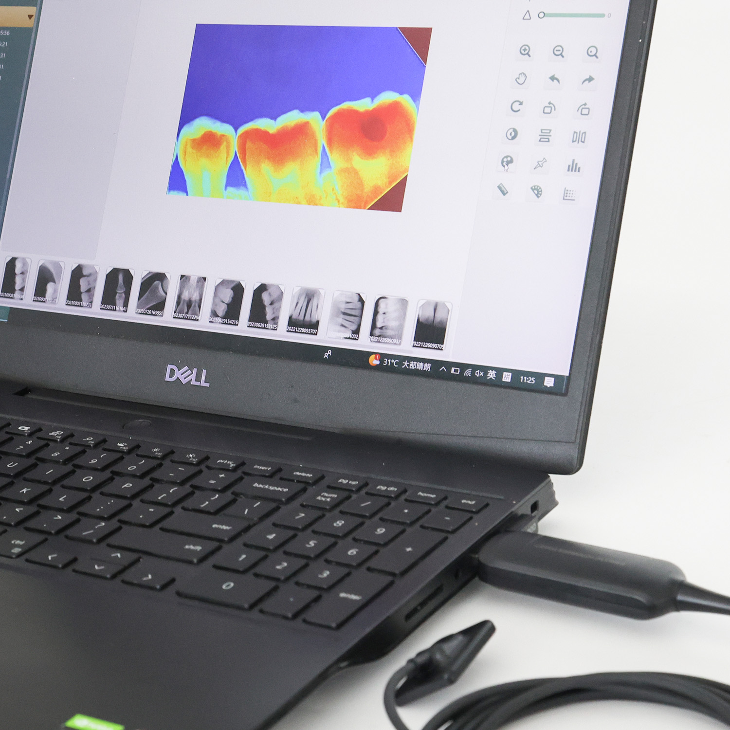 Facile da usare con interfaccia utente intuitiva