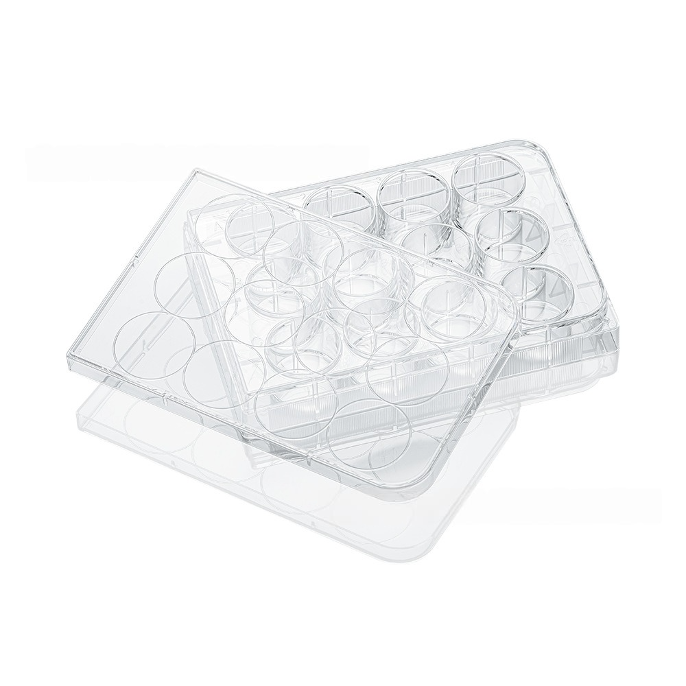 Cell Culture Plates Understanding Their Key Features
