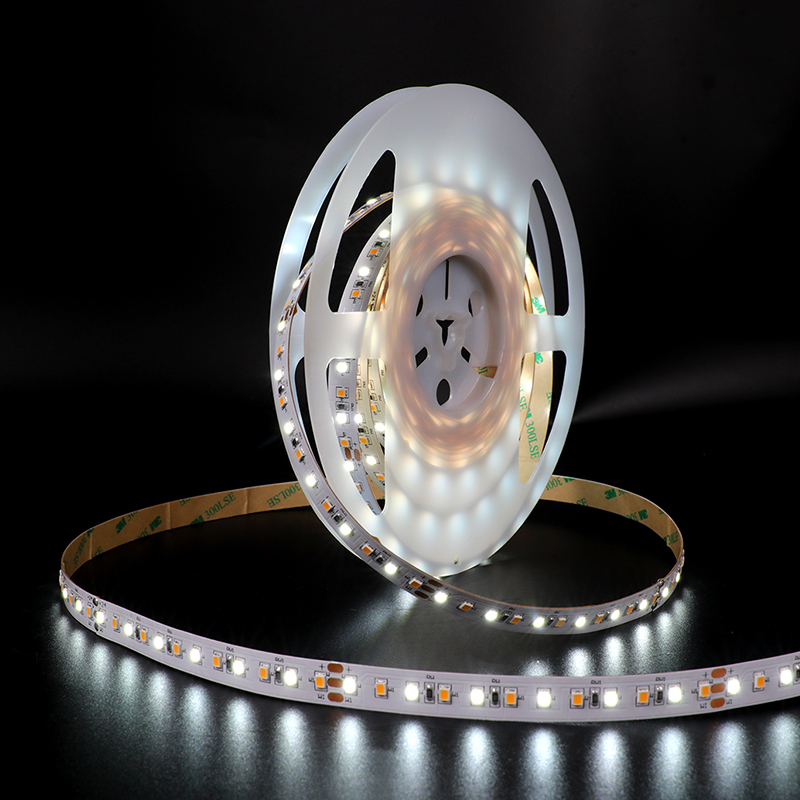 Tunable white SMD 2835 120leds/m LED Strip manufacture