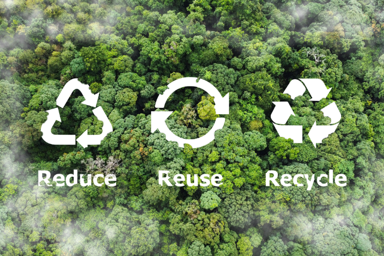 Food Packaging Materials Industry: Transformation and Global Competition Under the Green Wave