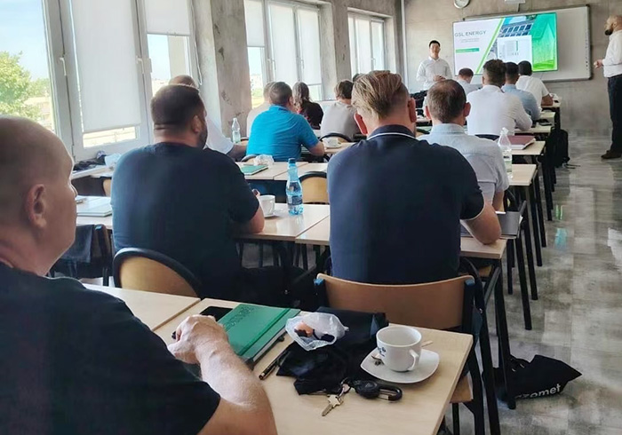 GSL ENERGY Delivers On-Site Training in Europe for Lithium Battery Energy Storage Systems – Showcasing Factory Customization and Global Support