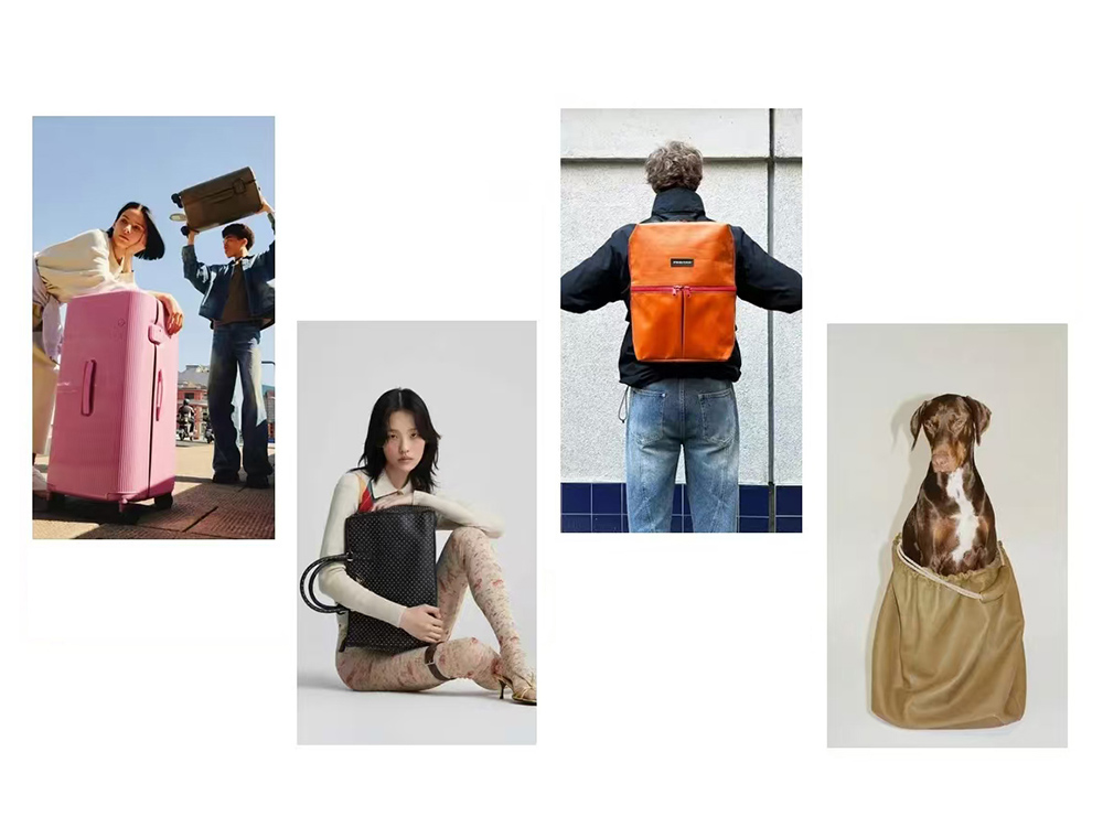 Luggage