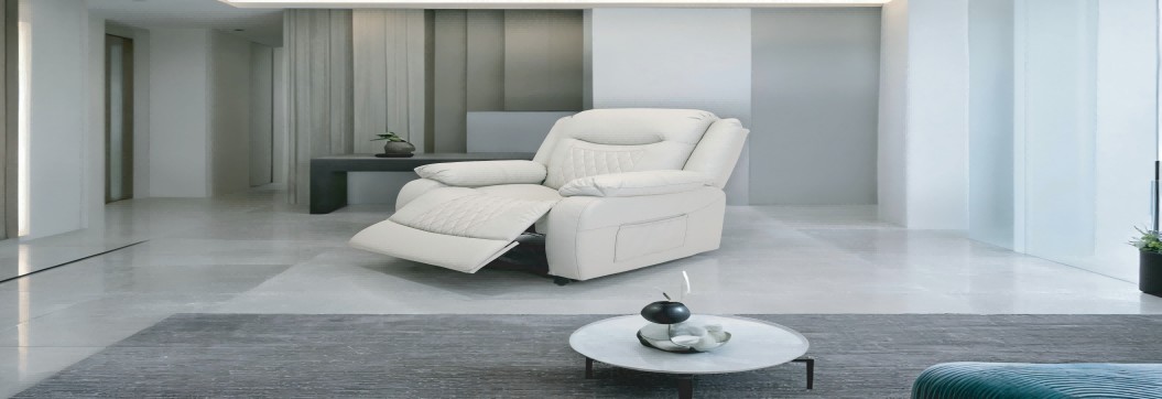 Electric Recliner & Sofa Motion Systems