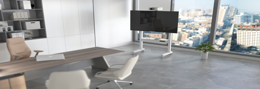 TV Mount