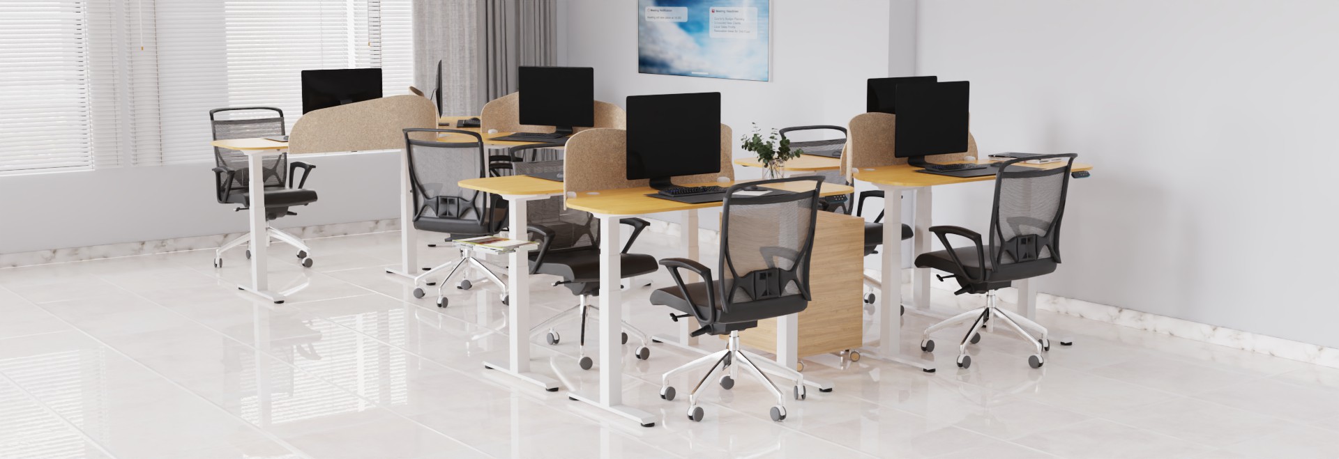 Electric Sit to Stand Desks