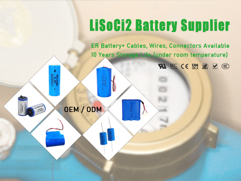Li-SoCl2 Battery