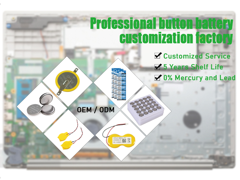 Li-MnO2 Battery