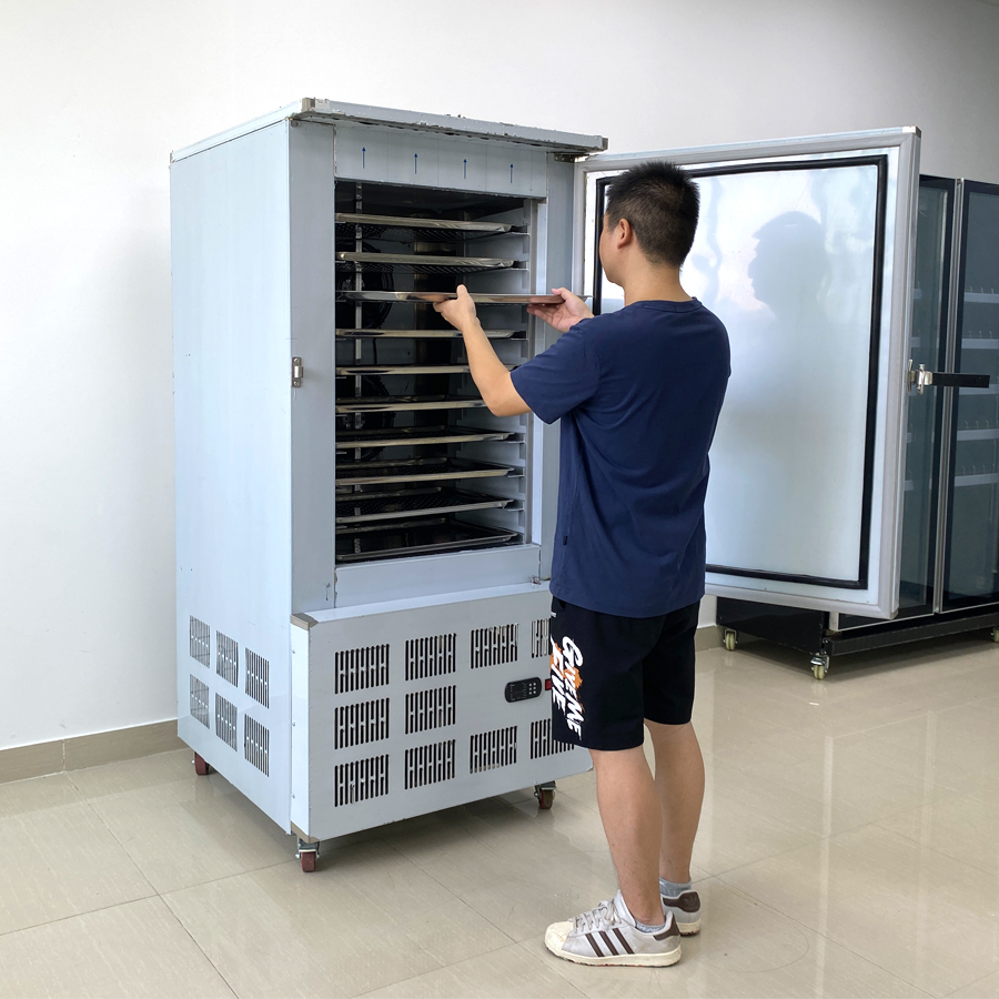 Built-in ULT Fast Chilling Flash Freezing 10 Pans Shock Freezer Equipment