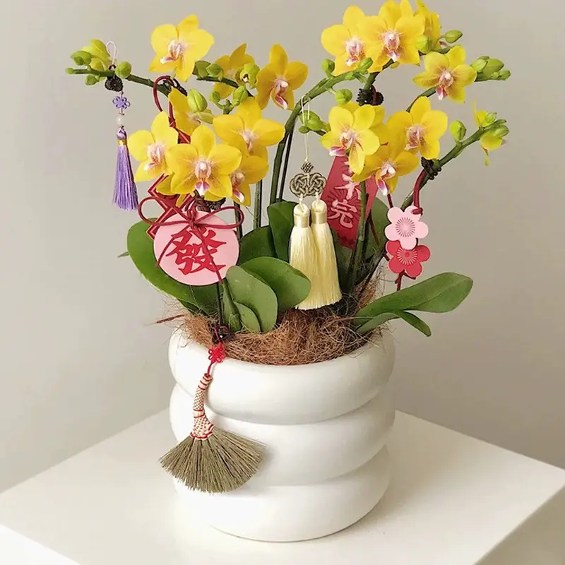 Fascinationen ved pyntepoteri