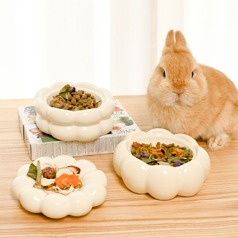 Zwierzecia Miseczka dla Kota Ceramiczna Miseczka dla Psa Bez Wylewu Ceramiczna Miseczka na Jedzenie dla Zwierząt