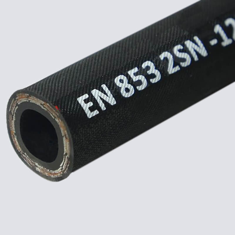 Jelajahi kedalaman lautan dalam selang air yang transparan.