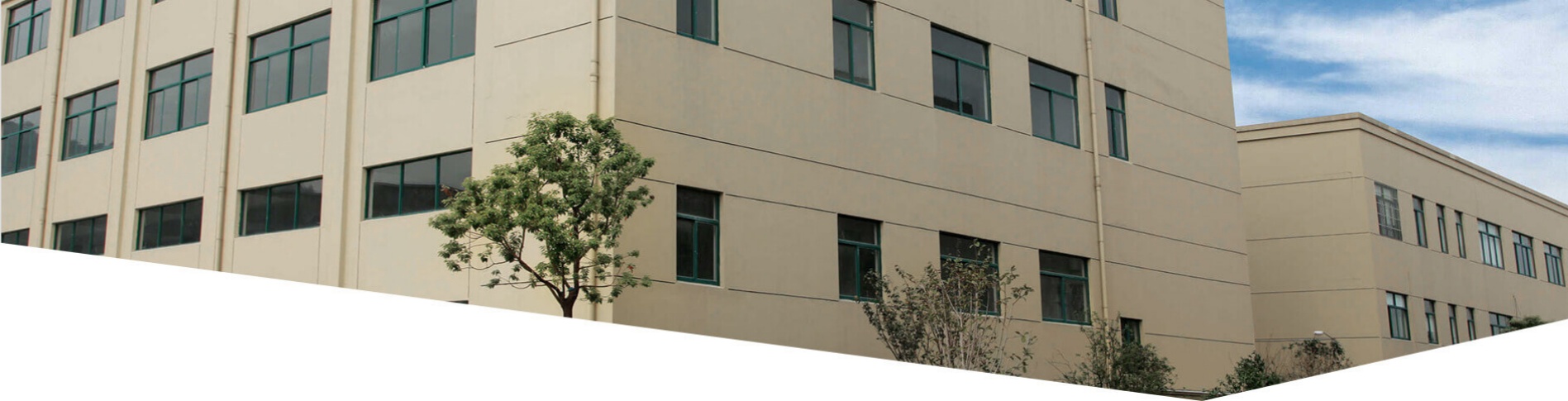 Bescanled USA LLC