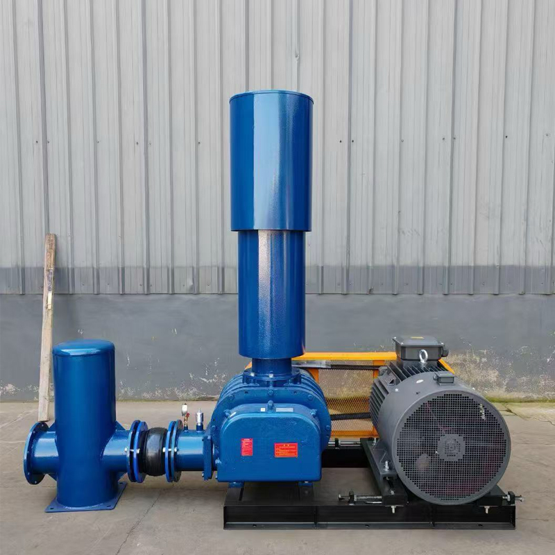 वायुप्रणाली रूट्स ब्लोअर