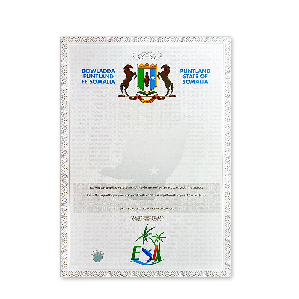 Papye Sètifika Pwopriyete Antikontrafason pou Enstitisyon