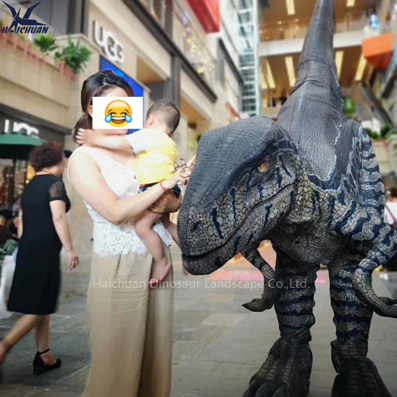 Zigong ชุดไดโนเสาร์ขนาดจริง Velociraptor สำหรับผู้ใหญ่ ไดโนเสาร์แอนิเมทรอนิกส์แบบกำหนดเอง ชุดแร็ปเตอร์สำหรับดึงดูดใจในห้างสรรพสินค้า