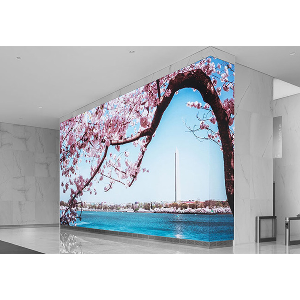 פרויקט שלטנות דיגיטלית LED ביפן