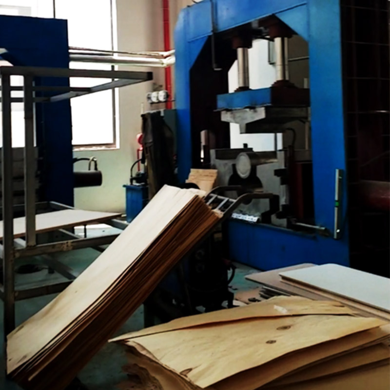 Sheet Molding