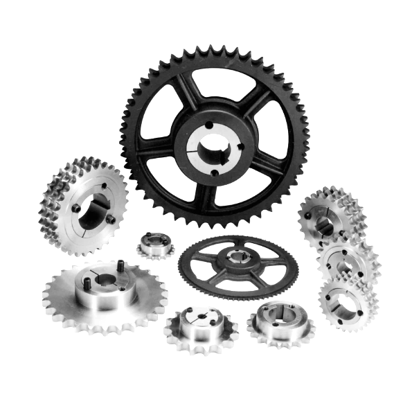 BTL шойын жұлдызшалары