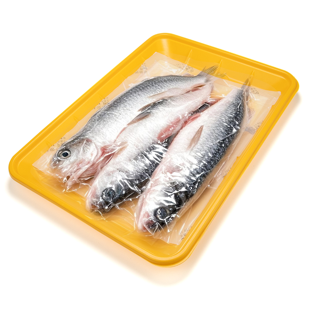 Genbrugbar Supermarked Mad Kvalitets PP Kød Bakke