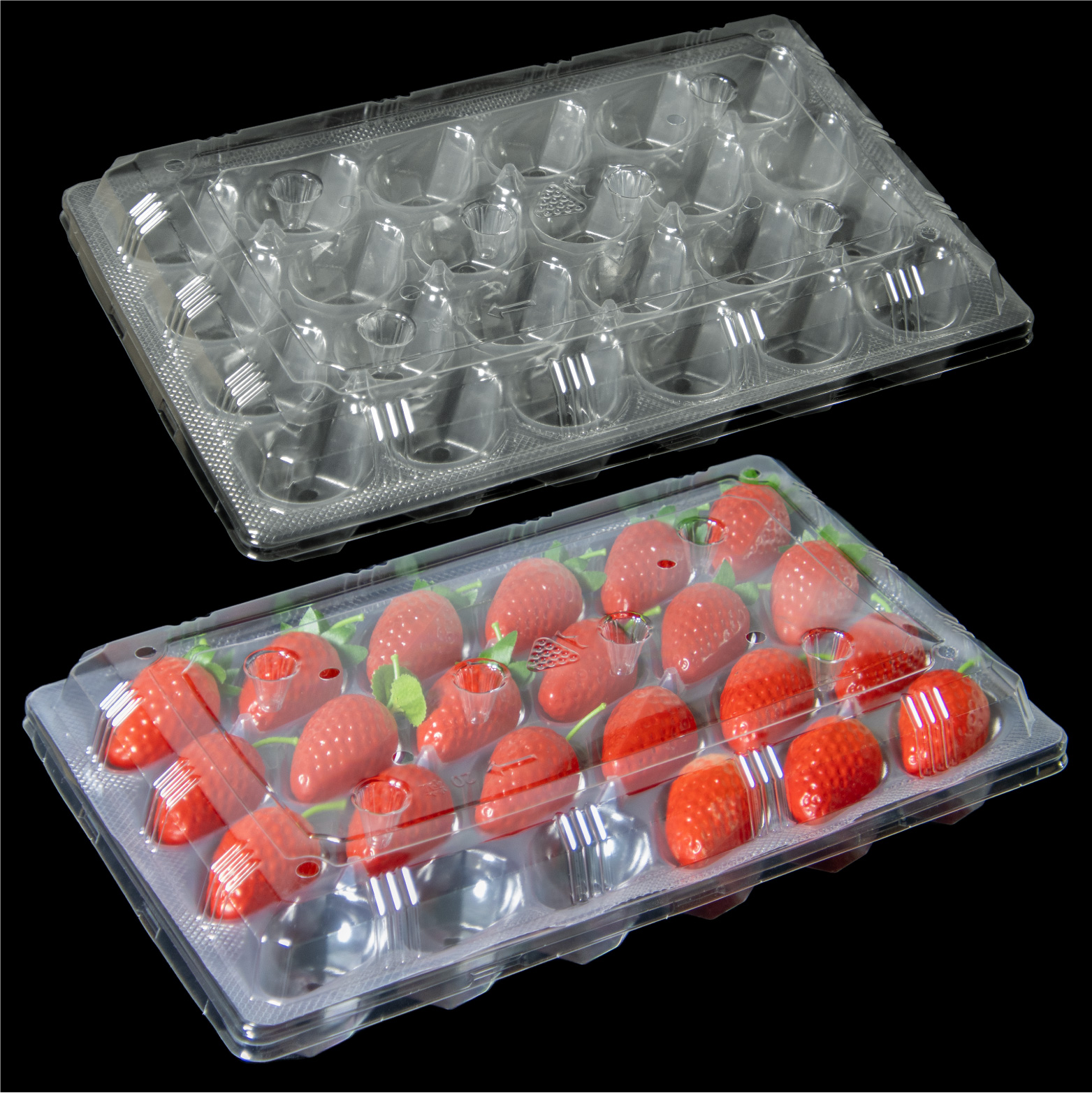 24 ячейка Factorу Оптовая продажа Одноразовые Перерабатываемые PET Жалықтар қораптары