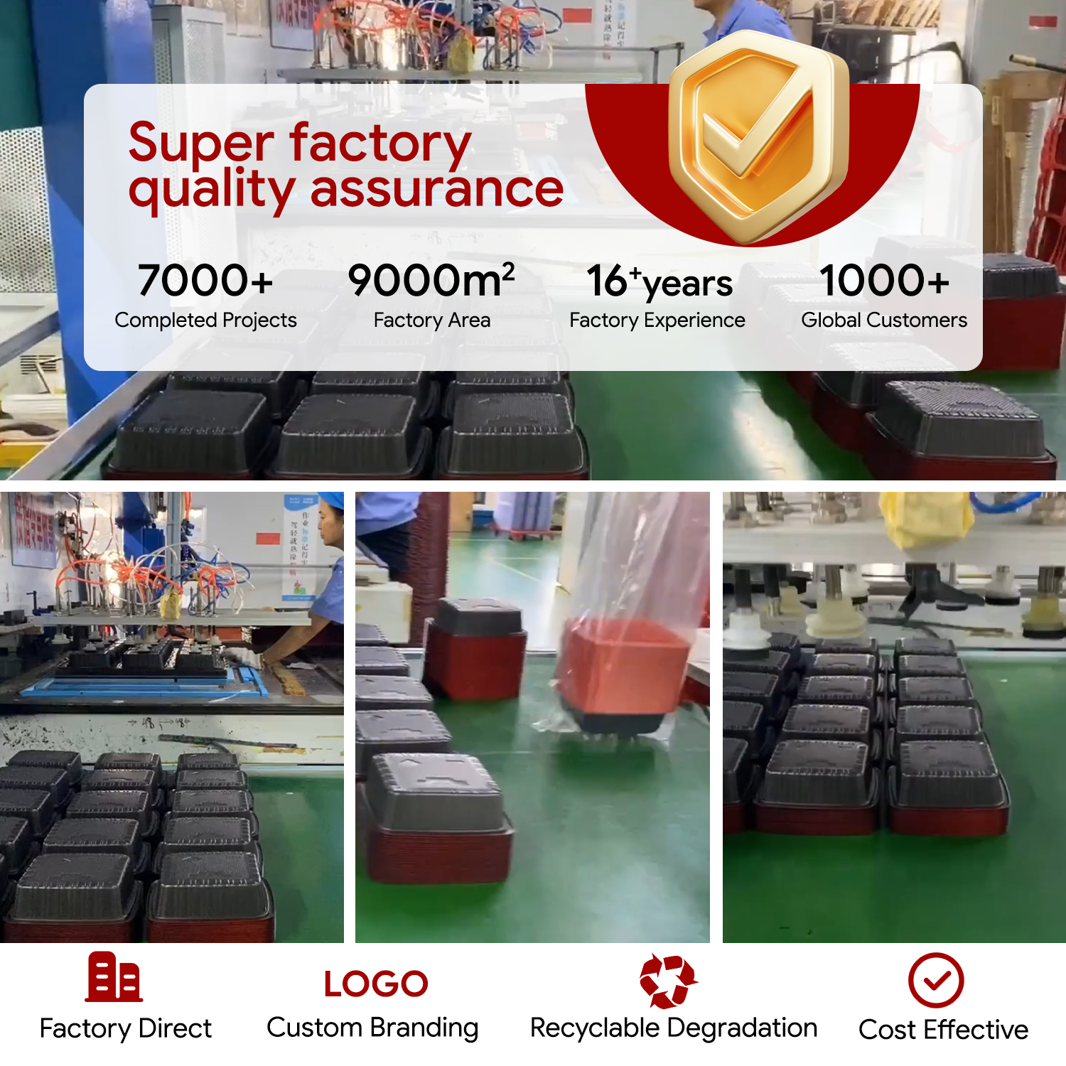PP food container 6-1.jpg