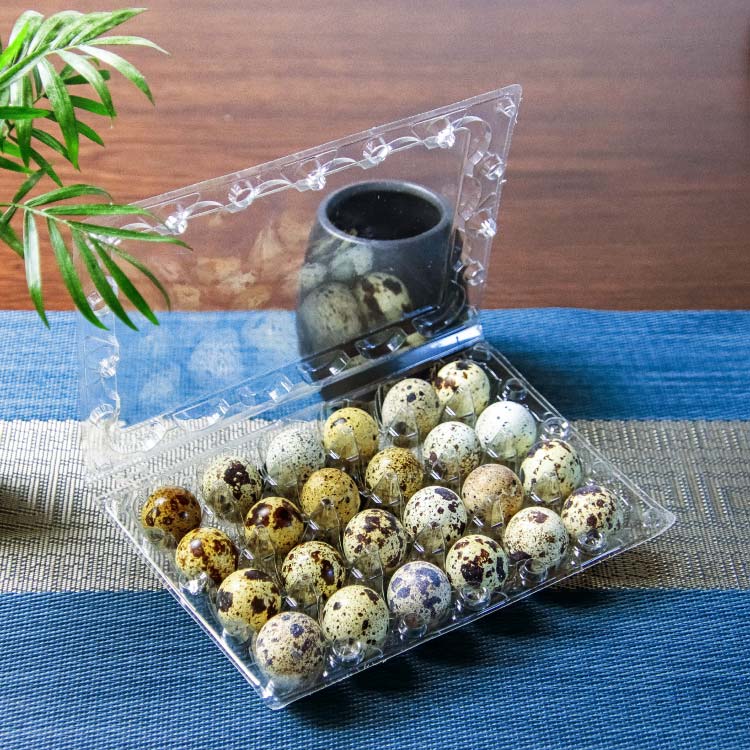 24 Hole Customized Wholesale PET Plastic Quail Egg Tray