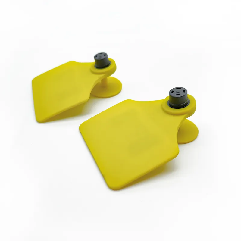 image(c32d4da915).png