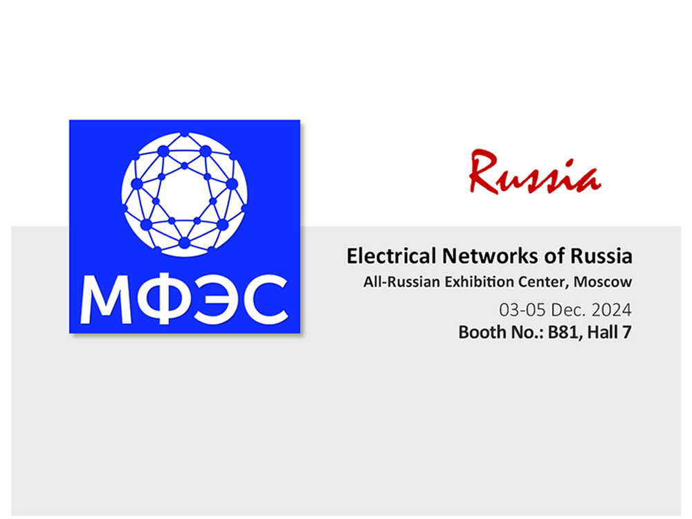 Electrical Networks of Russia