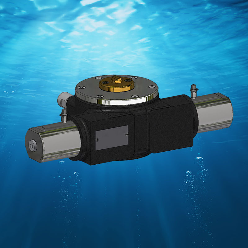 Remote Valve System (PLEIGER)