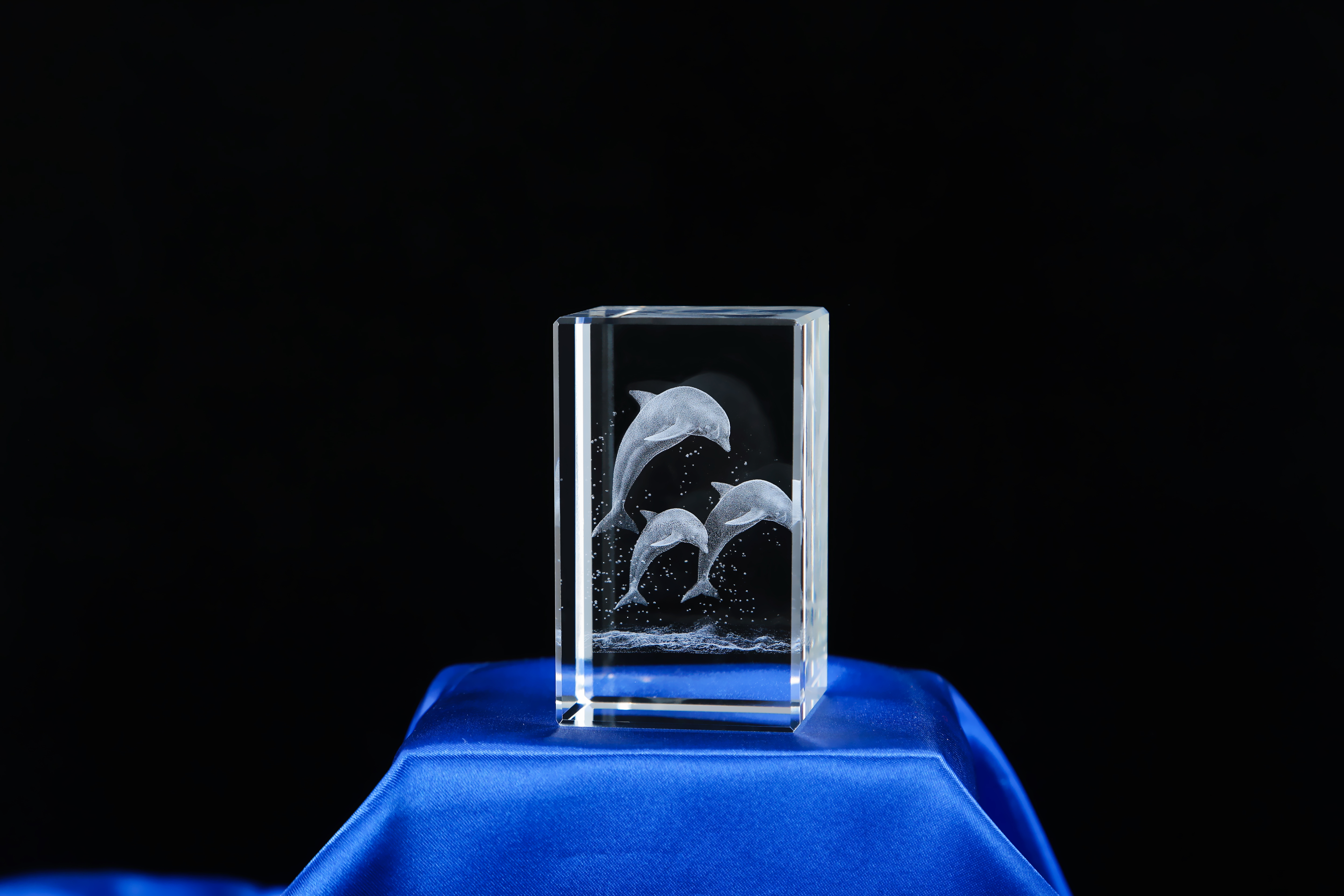 dolphin crystal for ocean animal zoom tourism gift