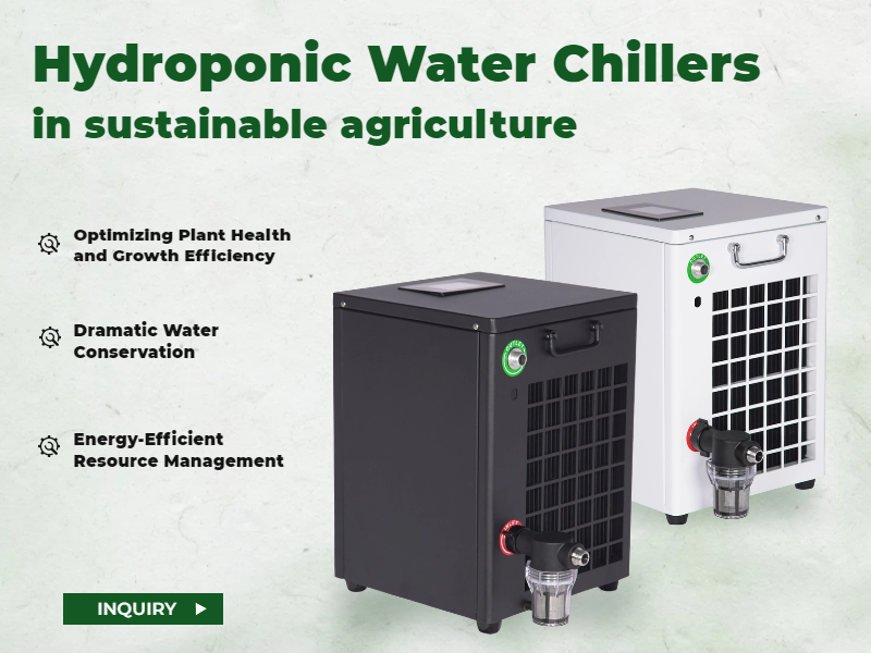 The Role of Hydroponic Water Chillers in Sustainable Agriculture