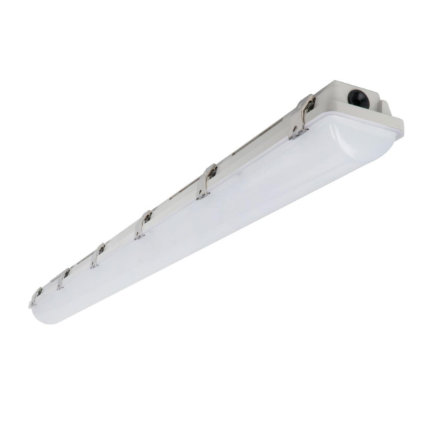 image(b1898495f6).png