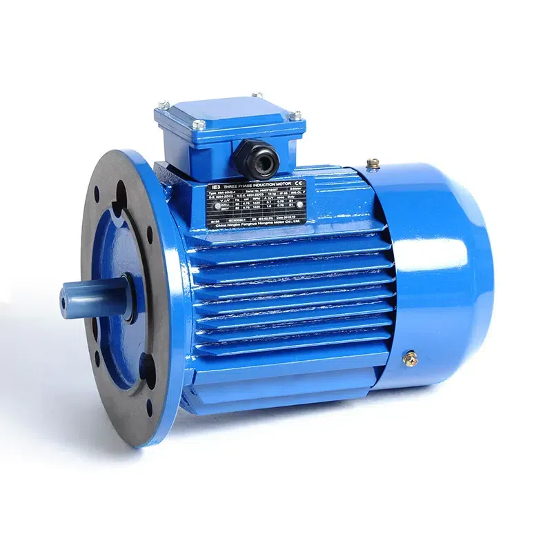 Variable Speed Electric Motors