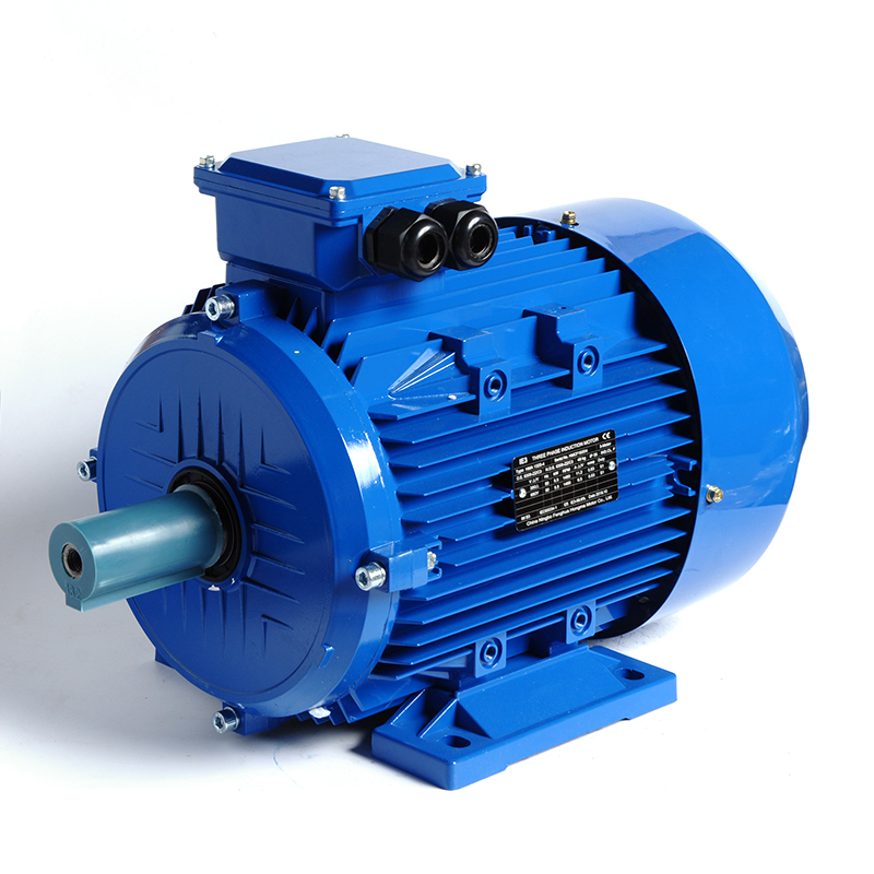 Super Premium Efficiency Asynchronous Electric Motor