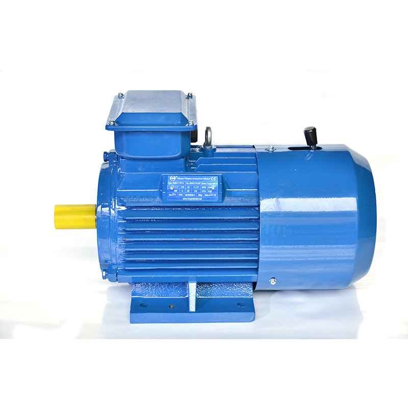 Electromagnetic Braking Three Phase Asynchronous Motor