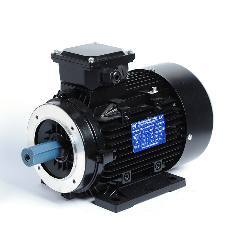 Premium Efficiency Asynchronous Electric Motor