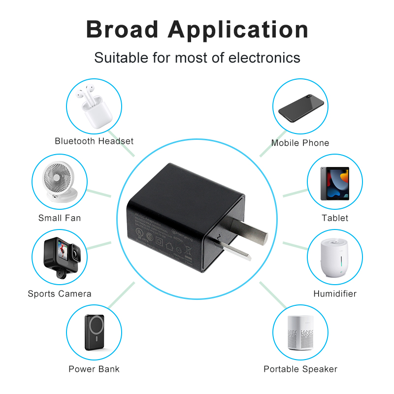 Argentina Plug 5V 500ma USB Charger