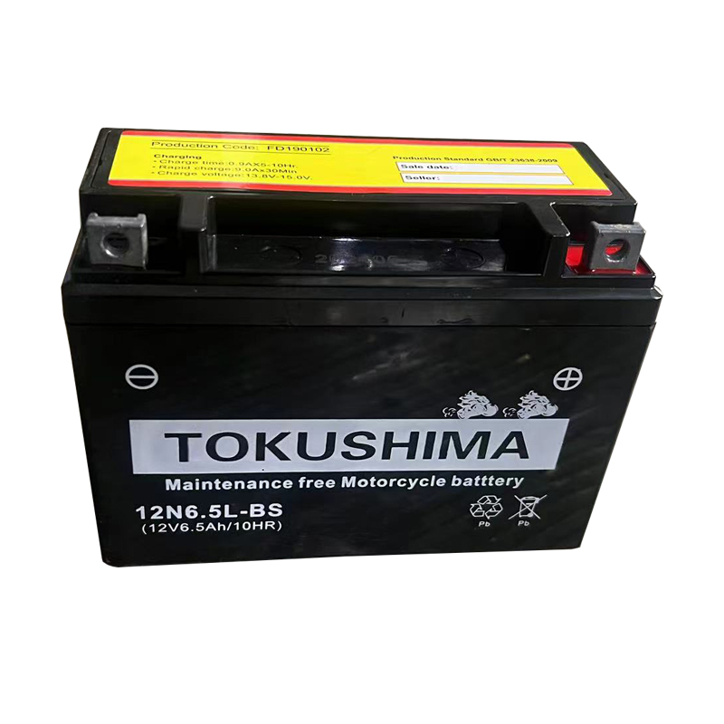 TOKUSHIMA 12V GEL Start Battery