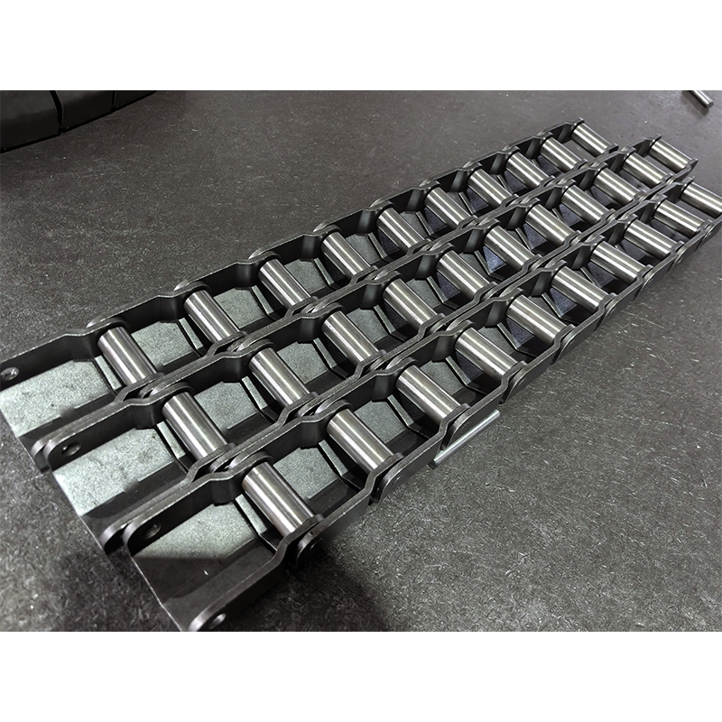 프랑스의 부시드 체인에서 울창한 숲 속에 숨겨진 보석들을 발견하기