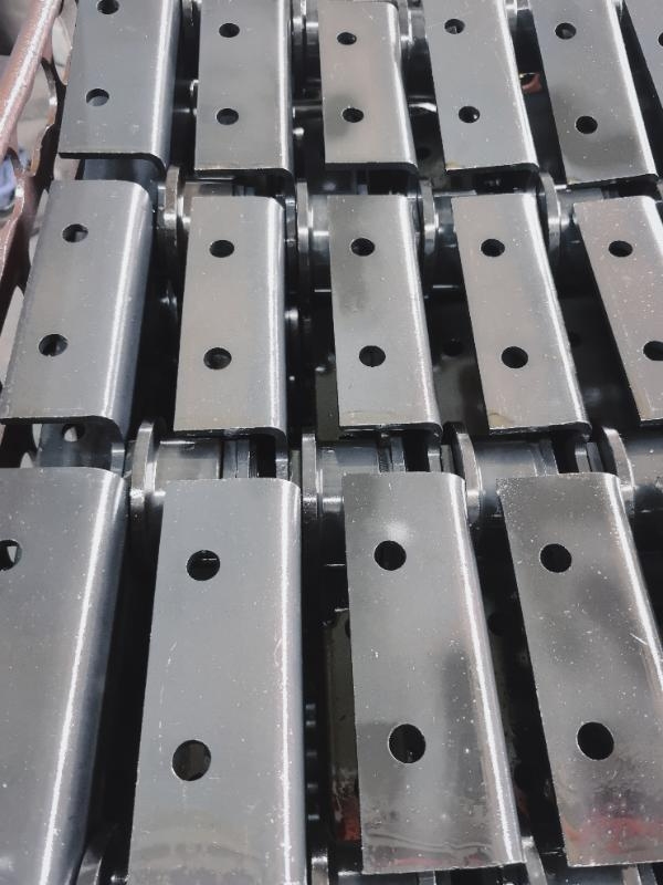 Sfide e Opportunità nel Settore del Palmiste in Malesia