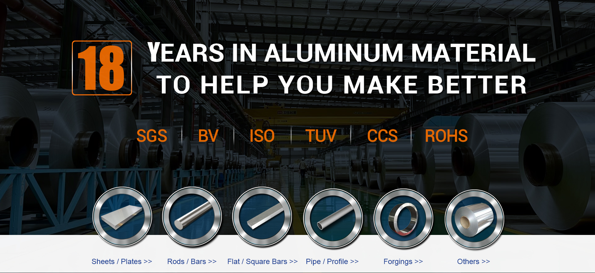 Stainless Steel