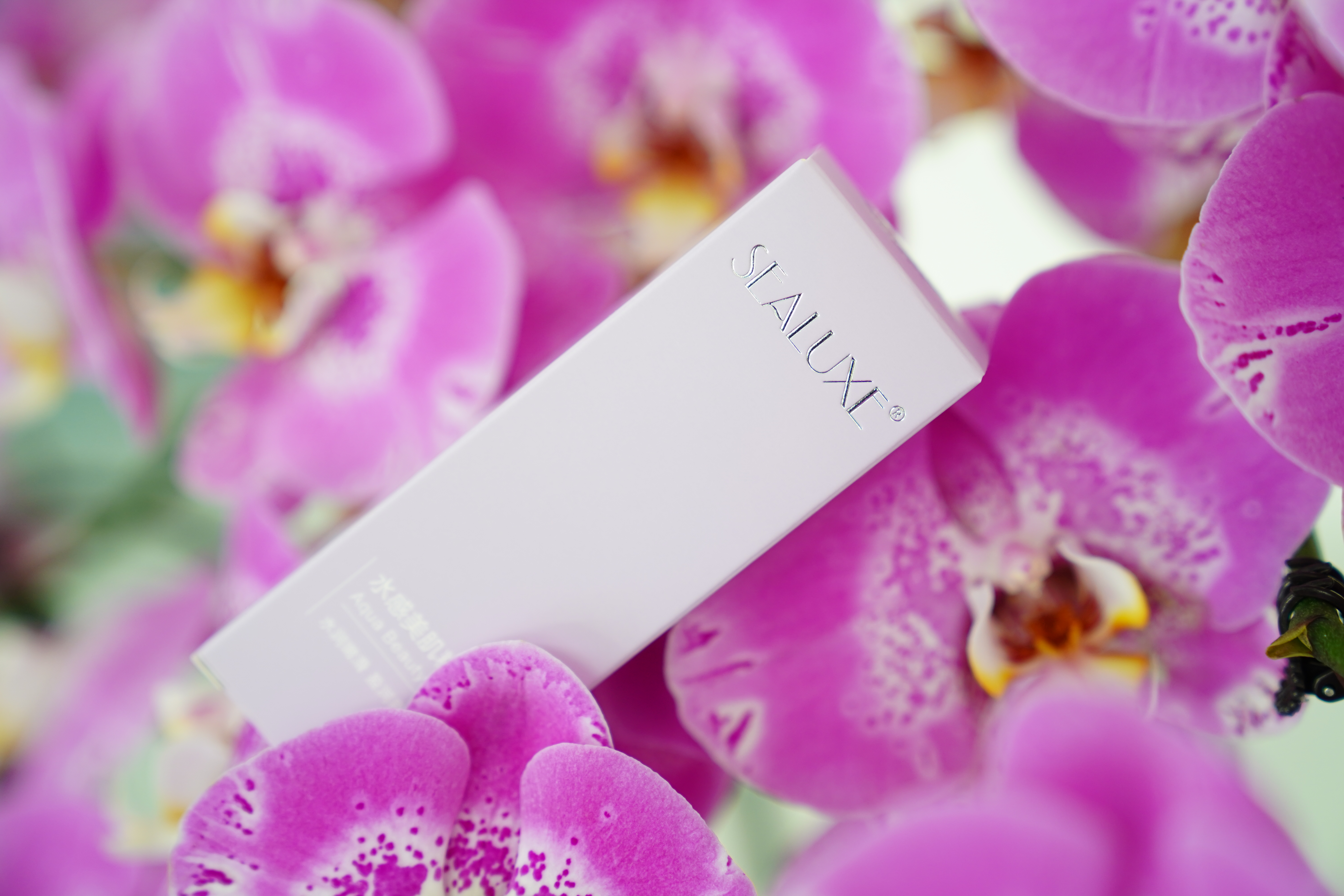 נייר הולוגרפי הטוב ביותר ליצירת פריטי אומנות: 10 בחירות מובילות