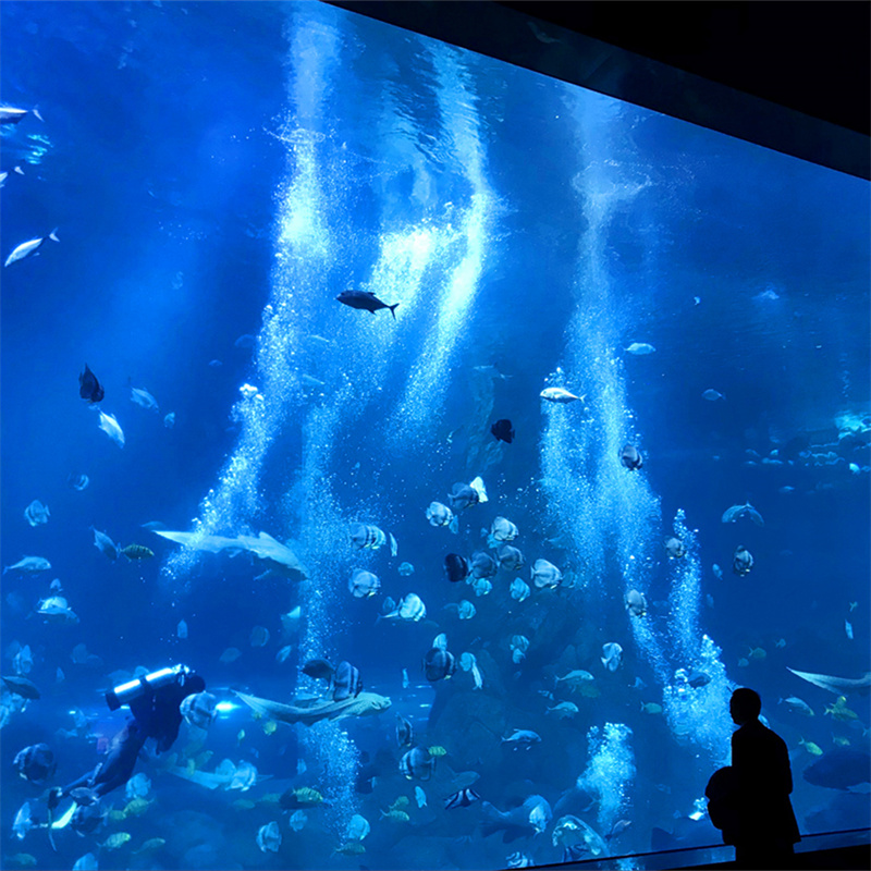 高品質な透明アクリルシートパネル水族館プロジェクト