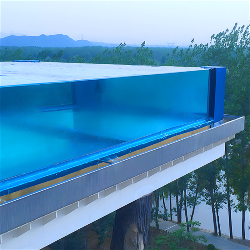 カスタムアクリルクリアスイミングプールのメーカー