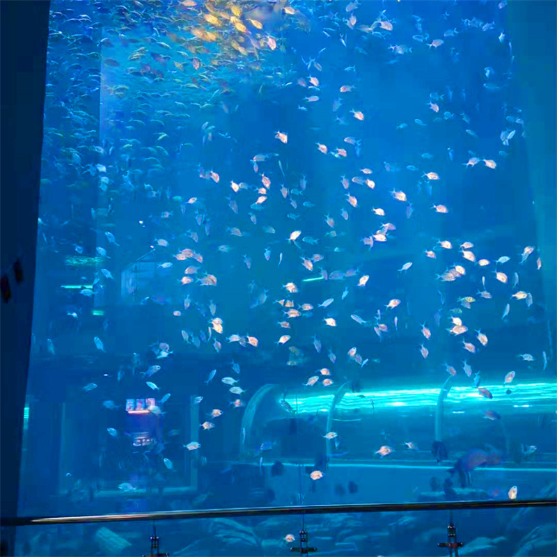 projet de feuille d'acrylique transparente sur mesure