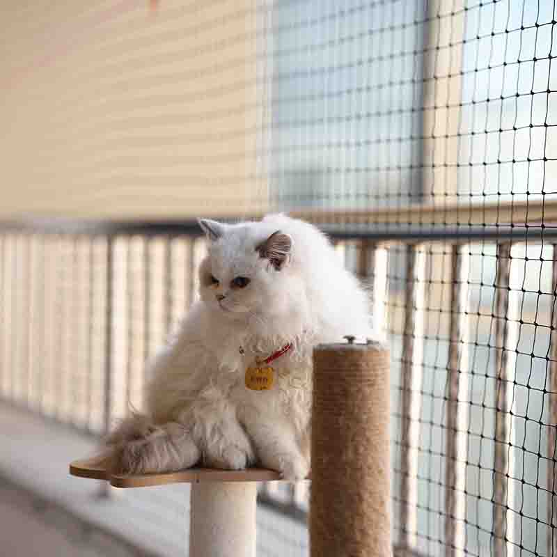 Durable nylon stainless steel wire reinforced black balcony cat protection net