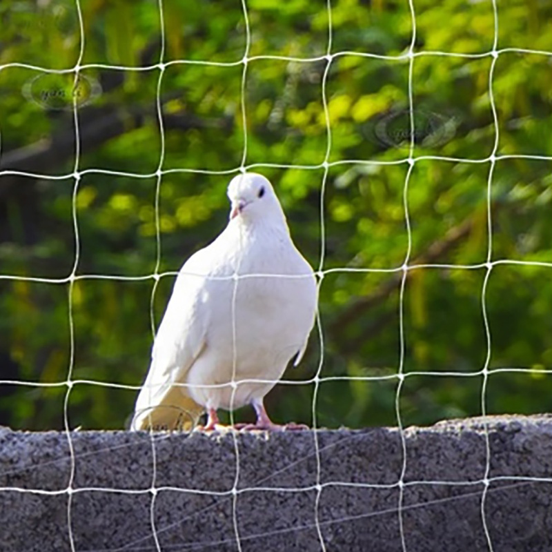 Hot Sell Monofilament Nylon Nets for Doves Protection Anti-bird Net